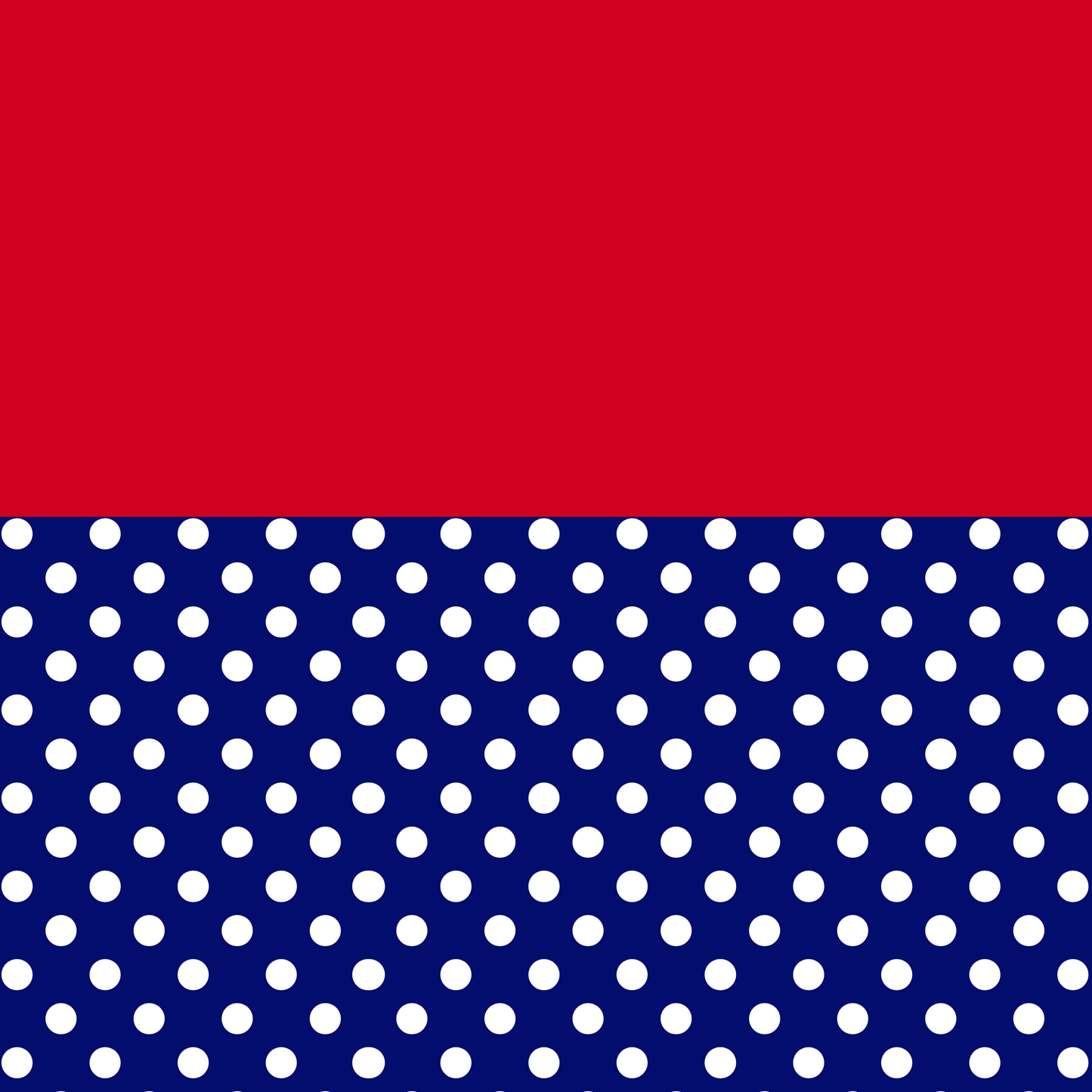 PATRIOTIC POLKA DOT BIKINI (SEE SIZING)