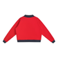 AUTUMN CRIMSON MOCKNECK